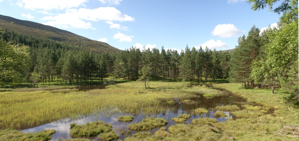 Pond in Corrie Feragie Pond in Corrie Feragie