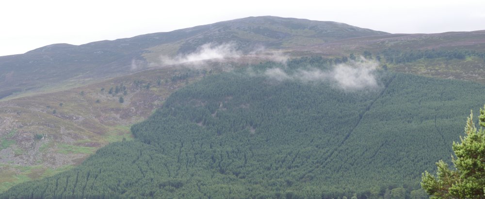 Clouds rising from the forest on Little Elrick Clouds rising from the forest on Little Elrick