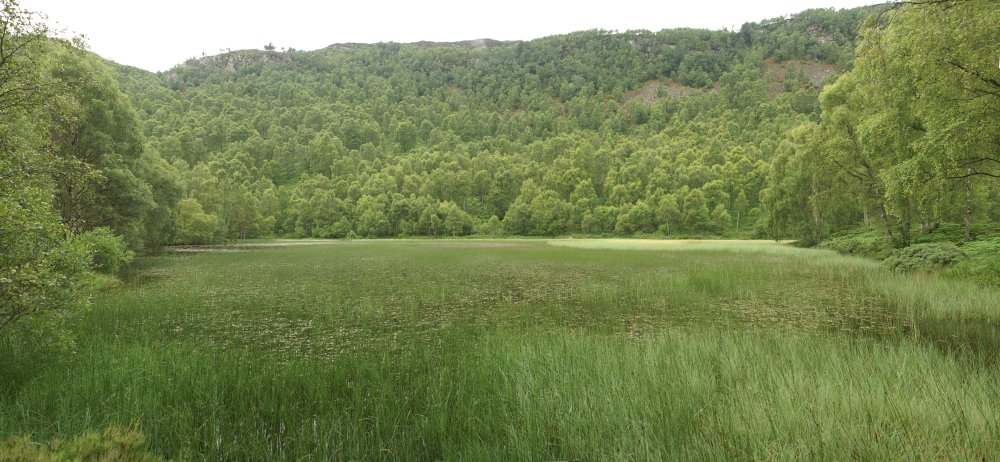 Pond above Aviemore Pond above Aviemore