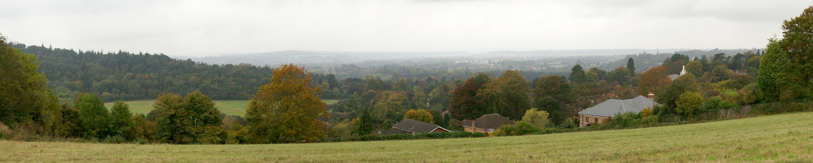 The view South from Pewley Down