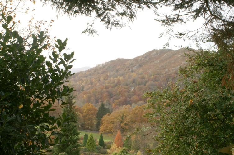 Autumn colours Autumn colours