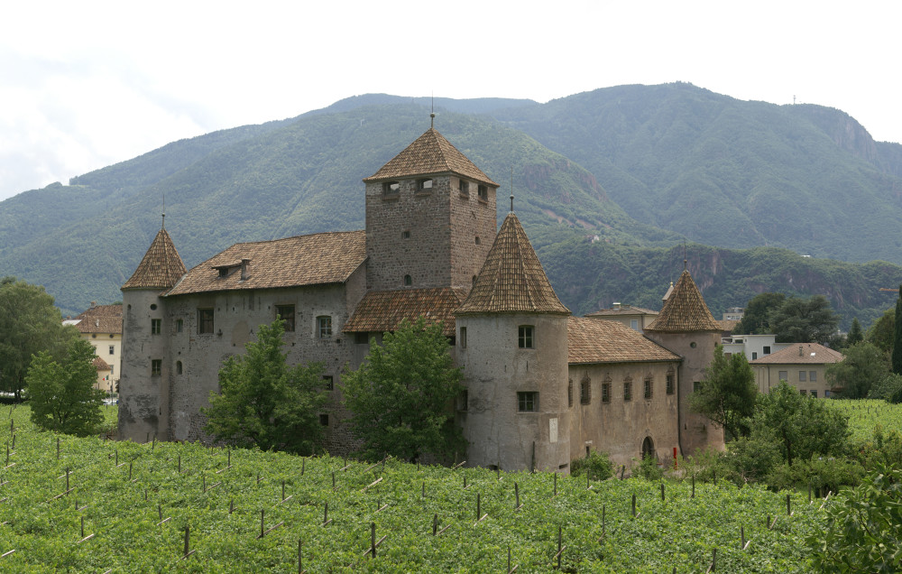 Old castle among vineyards Old castle among vineyards