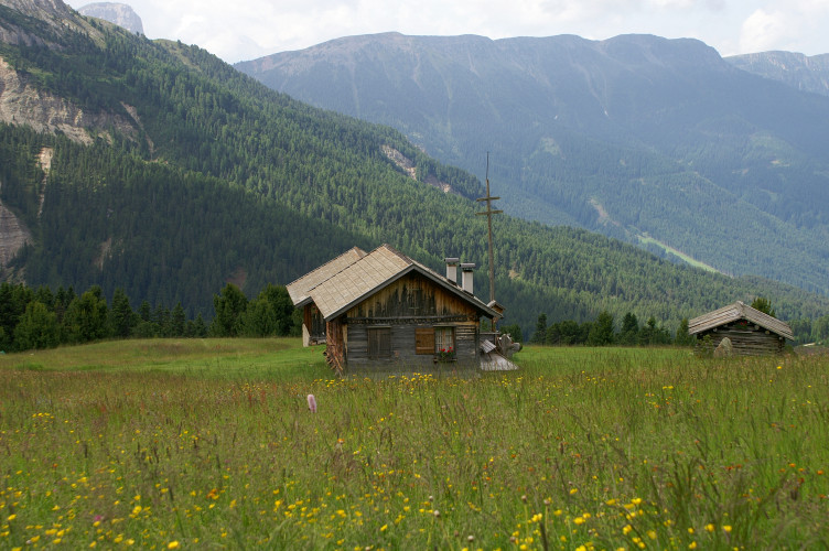 The hills are alive with the sound of music! The hills are alive with the sound of music!