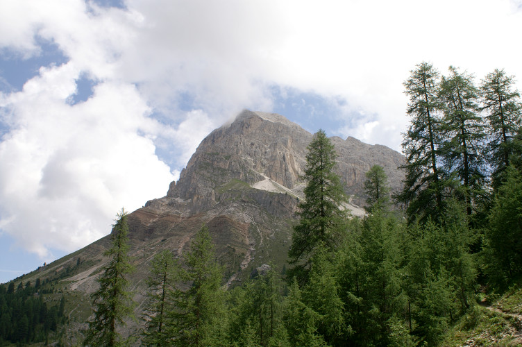 Tullen above the trees Tullen above the trees