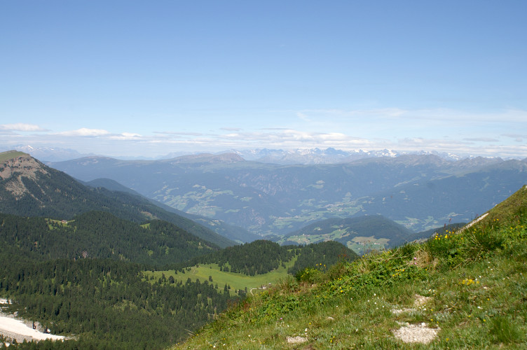 Looking West Looking West