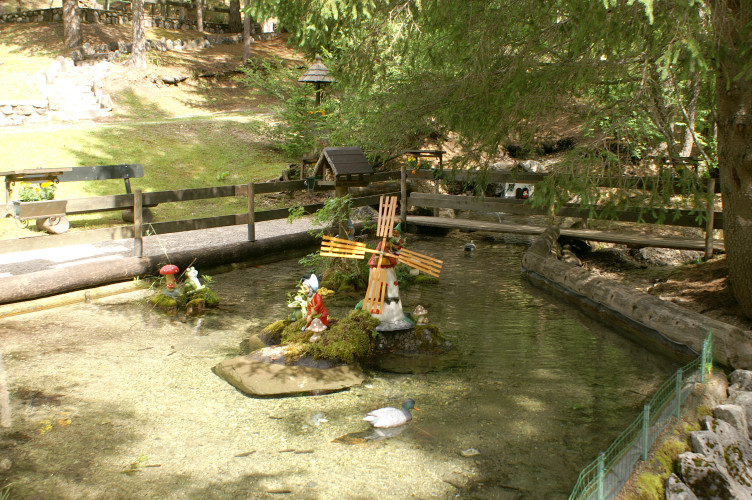Duck pond Duck pond