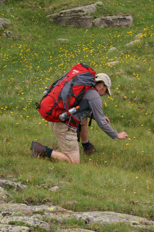 Daniel taking a close-up of a flower Daniel taking a close-up of a flower