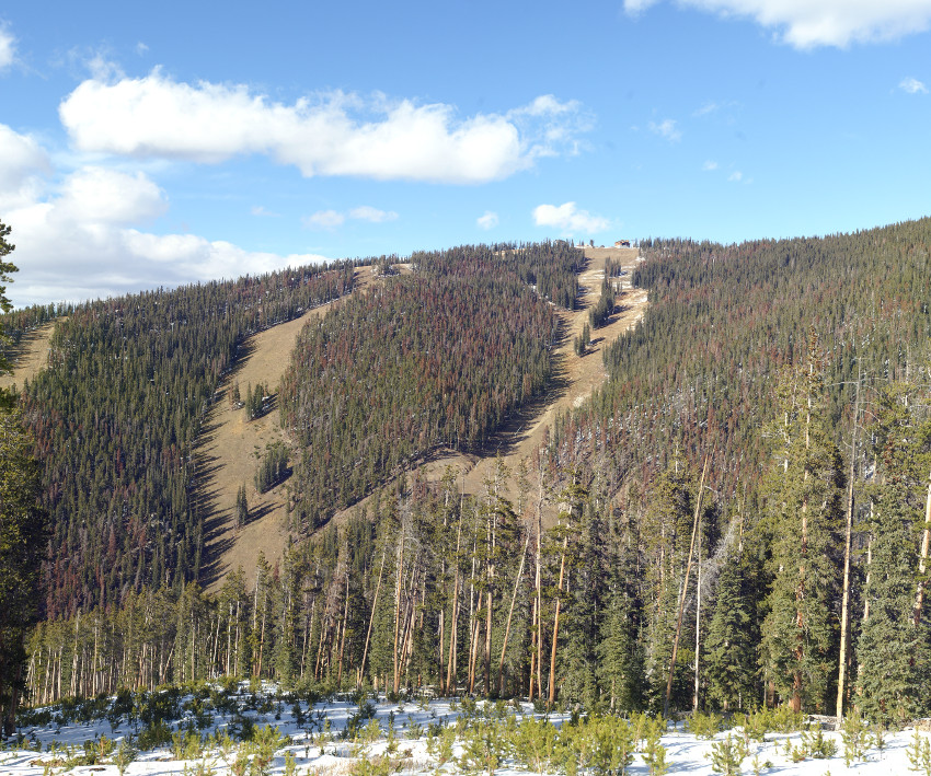 Ski slopes opposite Ski slopes opposite