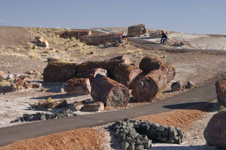 Petrified benches Petrified benches